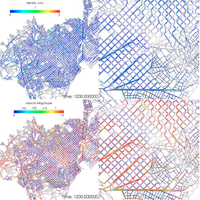 City Flows Project: Mobility and Covid-19