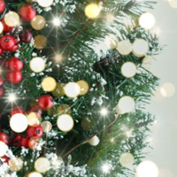 Successful CIMNE Christmas Toast Event