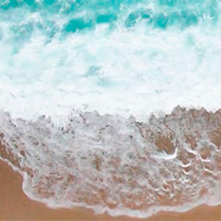 LIFE4MEDECA project launches its webpage and video