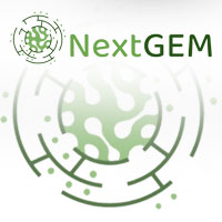 CIMNE partipates at NextGEM, an EU-project promoting safety in EMF-based telecommunication technologies