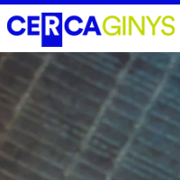 CERCAGINYS