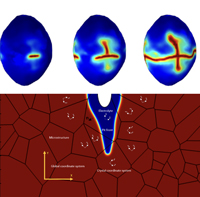 ***Video available*** Severo Ochoa Seminar – “Computational multi-physics phase field modelling of material degradation challenges: hydrogen embrittlement, Li-Ion battery degradation and corrosion”, by Emilio Martínez-Pañeda