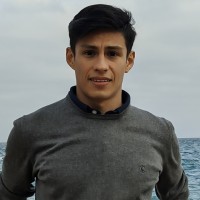 PhD Thesis Defense – “A Novel Computational Homogenization Theory for Multilayered Plates: The Multiscale 2D+ Approach” by Pablo N. Wierna