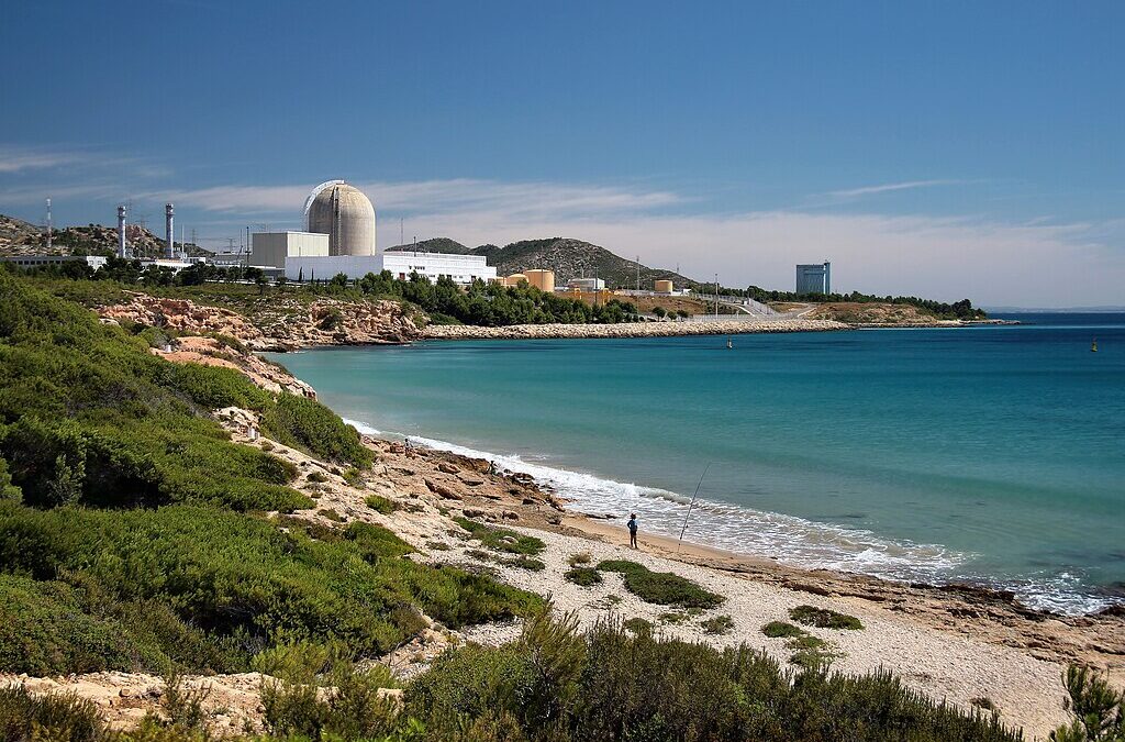 Safeguarding Nuclear Power Plants for a Sustainable Future