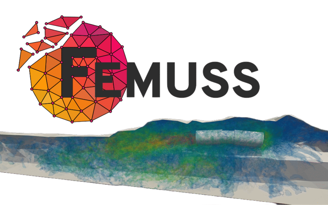 FEMUSS