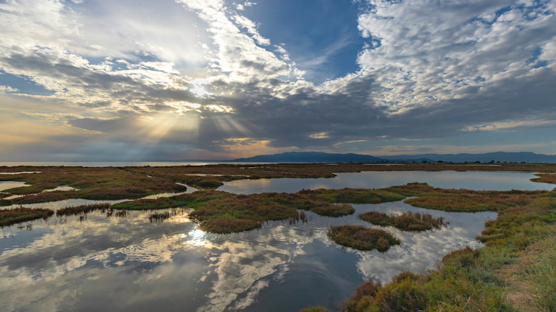 An affordable, practical and efficient tool for measuring human presence and its impact in natural environments