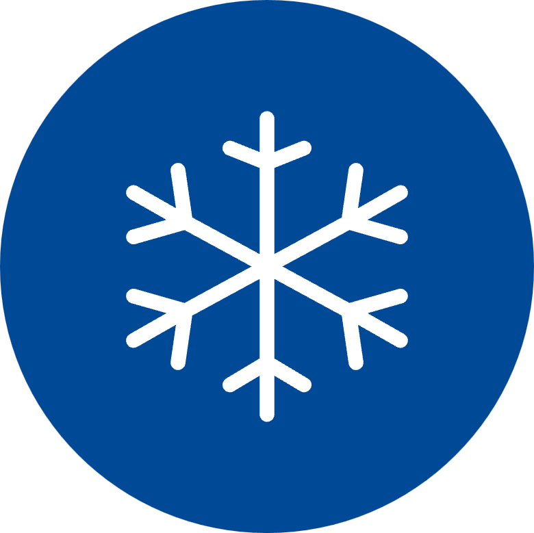 snow-flake icon